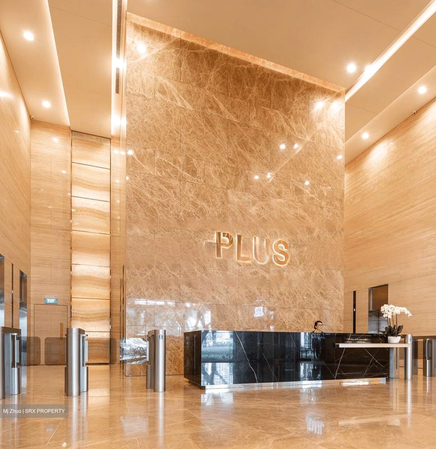 PLUS (D1), Office #457874001